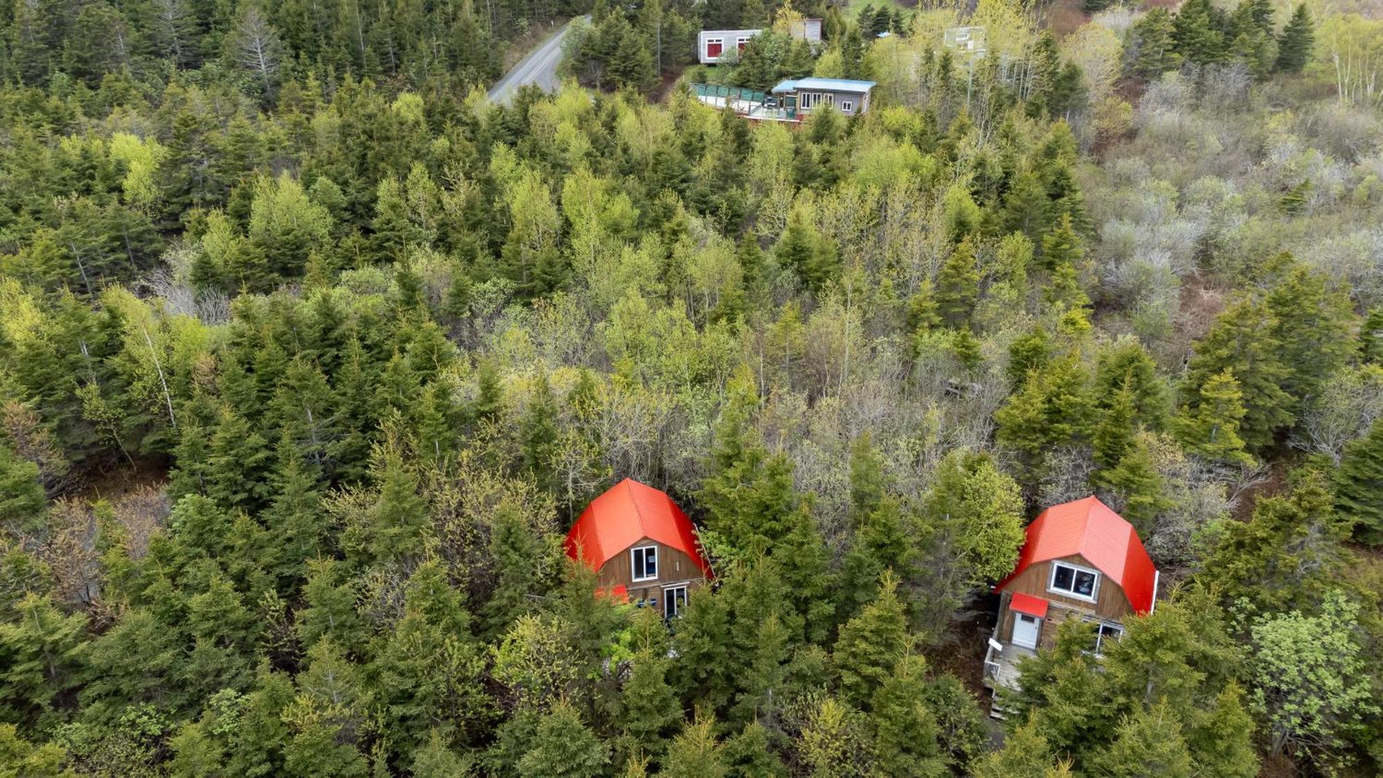 Auberge/Chalet Griffon Aventure L'Anse-au-Griffon Exteriör bild