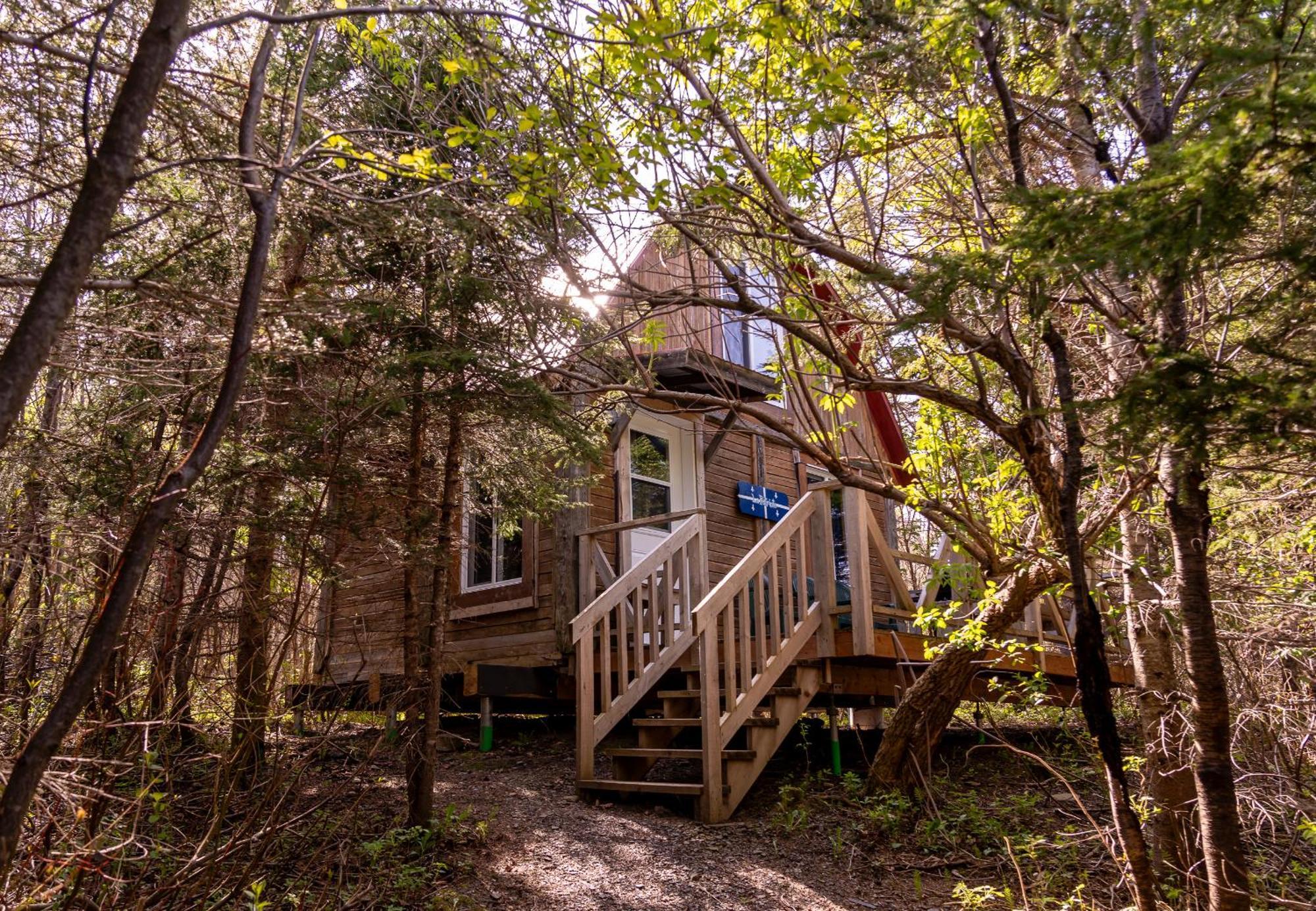Auberge/Chalet Griffon Aventure L'Anse-au-Griffon Exteriör bild