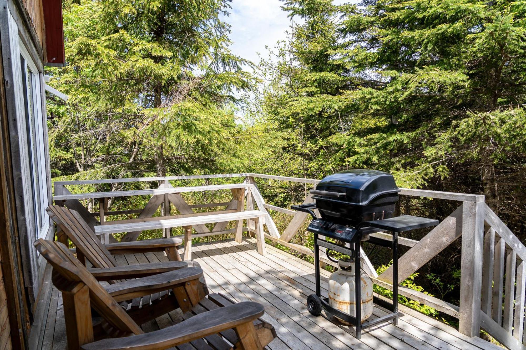 Auberge/Chalet Griffon Aventure L'Anse-au-Griffon Exteriör bild
